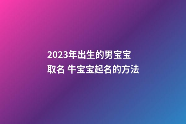 2023年出生的男宝宝取名 牛宝宝起名的方法